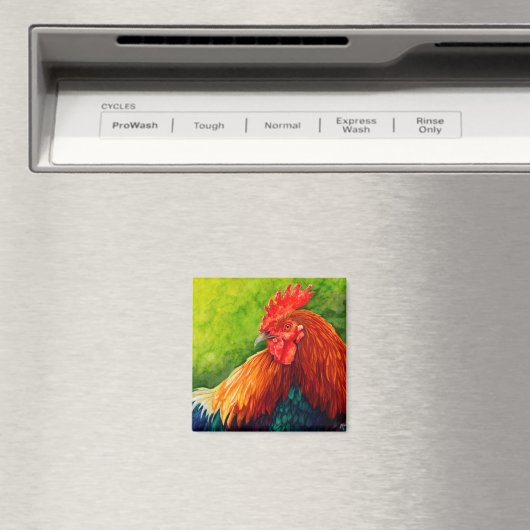 Groot Rood - Haan magneet (Insitu (Vaatwasser))