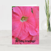 Groot roze petunia bloemen  Kaart (Voorkant)