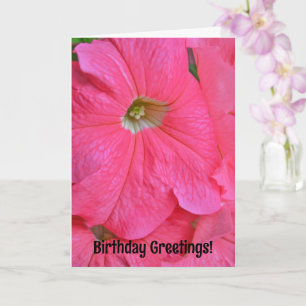 Groot roze petunia bloemen Kaart
