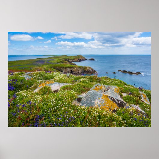 GROOT SALTEE, SALTEE-EILANDEN, IERLAND POSTER (Voorkant)