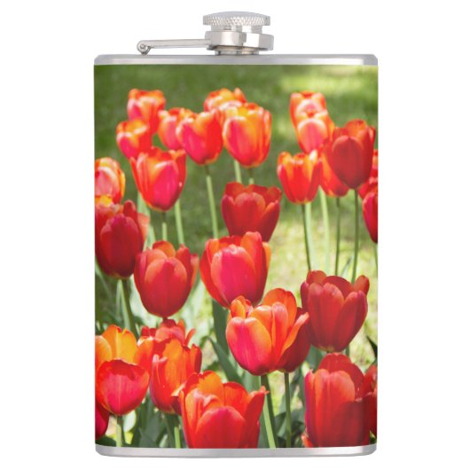 Groot veld rode tulpen heupfles (Voorkant)