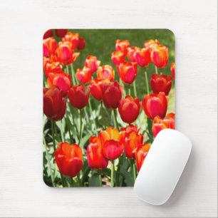 Groot veld rode tulpen muismat