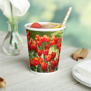 Groot veld rode tulpen papieren bekers