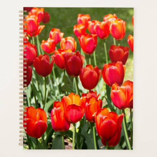 Groot veld rode tulpen planner (Voorkant)