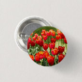 Groot veld rode tulpen ronde button 3,2 cm (Voorkant /achterkant)