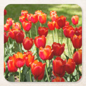 Groot veld rode tulpen vierkante kartonnen onderzetter (Voorkant)