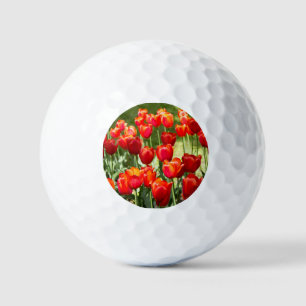 Groot veld rode tulpenpuin golfballen
