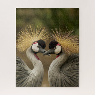 Groot vogel liefhebber patroon legpuzzel