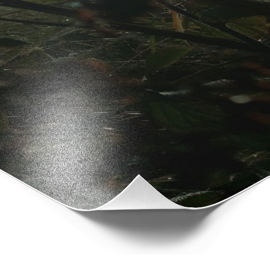 Groot zien in klein foto afdruk (Hoek)