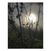 Groot zien in klein foto afdruk (Voorkant)