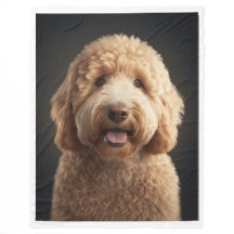 Groot, zwart, fleece deken met Goldendoodle
