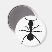 Groot zwart mier icoon magneet (Voorkant / Achterkant)