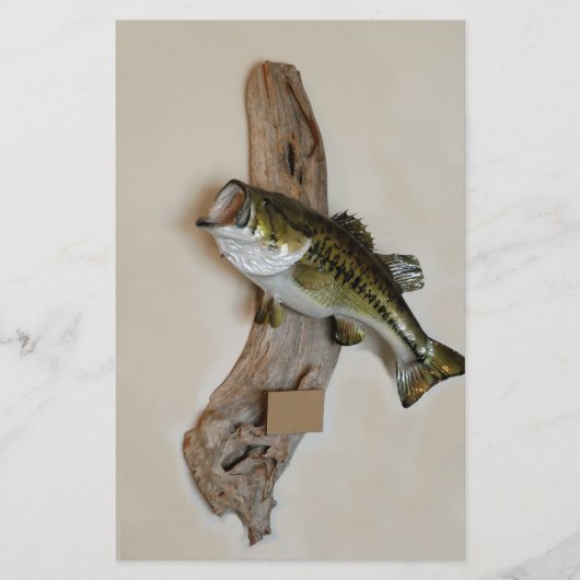 grootbekbaars flyer (Voorkant)