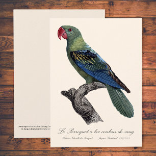 Grootbekparkiet, Tanygnathus megalorynchos Bedankkaart