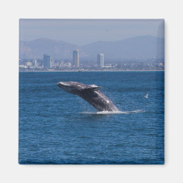 Groothandel in een tijd magneet