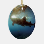 Groothandel in haaien keramisch ornament (Rechts)