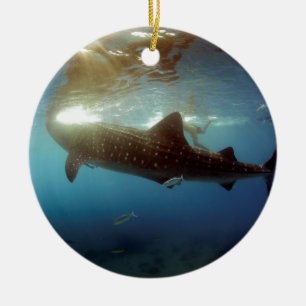 Groothandel in haaien keramisch ornament