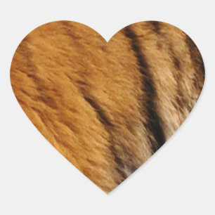 Grootkat met grote kat in het wild, met foto's bem hart sticker