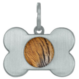 Grootkat met grote kat in het wild, met foto's bem huisdieren naamplaatje