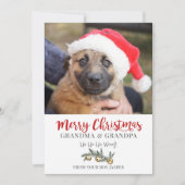 Grootma opa Kerstmis van Dog Feestdagenkaart (Voorkant)