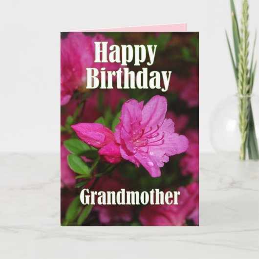 Grootmoeder roze Azalea Happy Birthday Kaart (Voorkant)