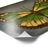 Grootmoeders vlinder, 5 x 7 afdrukken foto afdruk (Hoek)