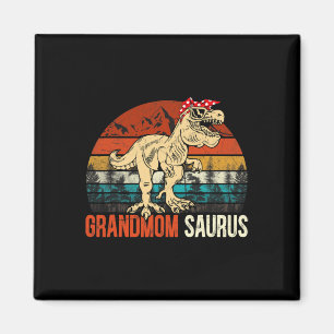Grootmoedersaurus T Rex Dinosaur Grootmoeder Sauru Magneet