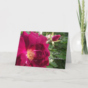 Grootouderdag voor oma, Red Rose en Bud Kaart