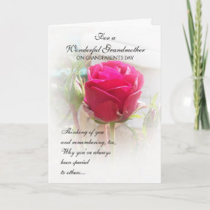 Grootouders Dag Kaart Roze Rosebud