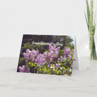 Grootouders Dag-Vlinders op Lila struik