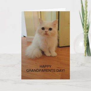 Grootouders Dag, Witte Kat Kaart
