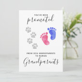 Grootouders Je bent gepromoveerd Zwangerschap bij Aankondiging (Staand voorkant)