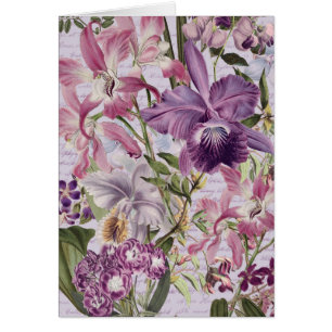 Grootschalige bloemen paarse orchideeën 5x7 notiti