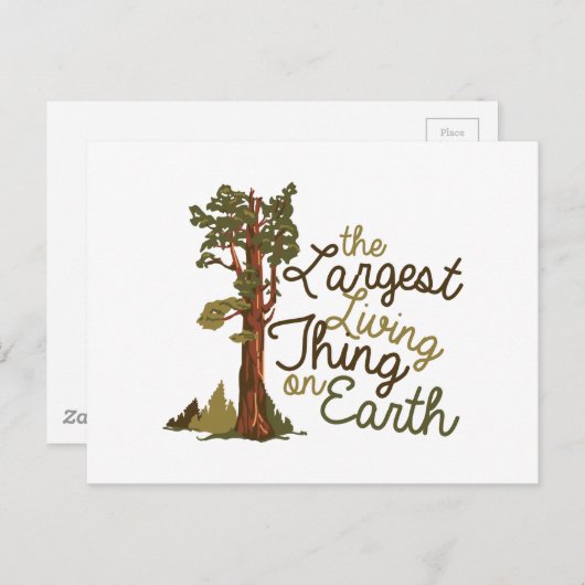 Grootste levensding briefkaart (Voorkant / Achterkant)