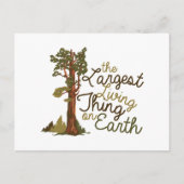 Grootste levensding briefkaart (Voorkant)