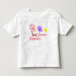 Grootste zus kinder shirts