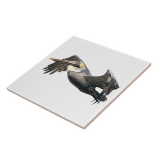 Grootte Pelican in Flight Tile (2) Tegeltje
