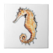 Grootte van de zee paard Tile (2) Tegeltje (Voorkant)