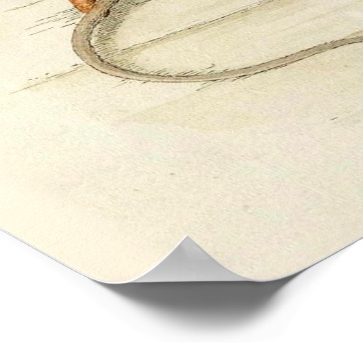 Grootvader Dormouse Leeskrant Poster (Hoek)