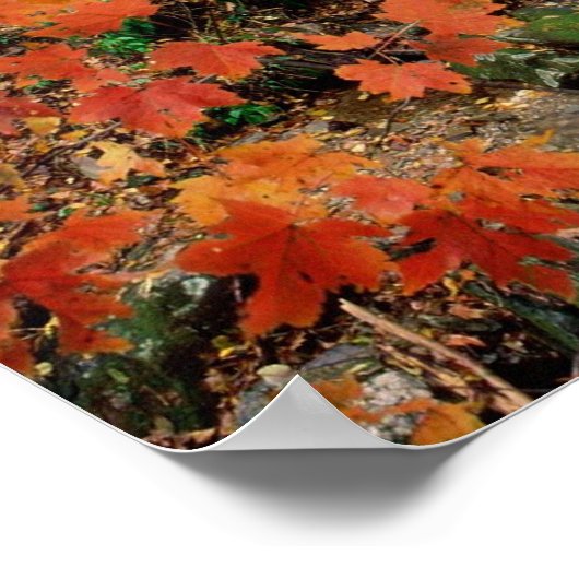 grootvader poster (Hoek)