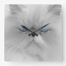 Grootvader van het aambeeld Grumpy Cat