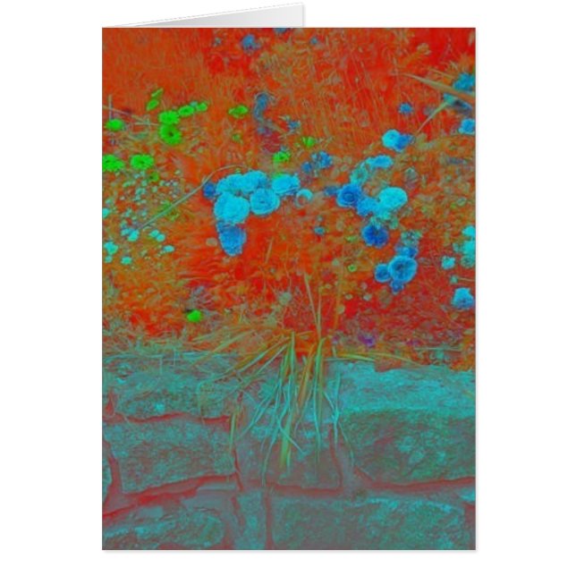 Grootvaders tuin (Voorkant)