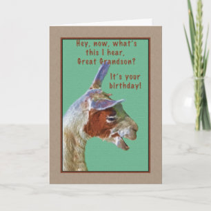Grootzoon, Birthday, Laughing Llama Card Kaart