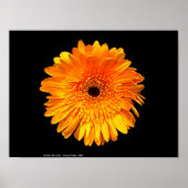 Groovy Poster (Voorkant)