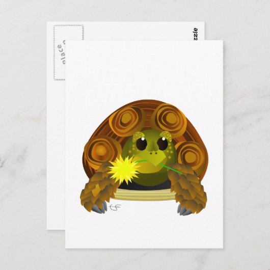 Groovy Tortoise Briefkaart (Voorkant / Achterkant)