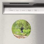 Gros aimant à plongée (In Situ (Lave-vaisselle))