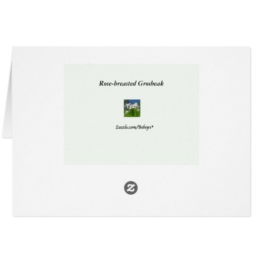 Gros-bec de Rose-breasted (Dos Horizontal)