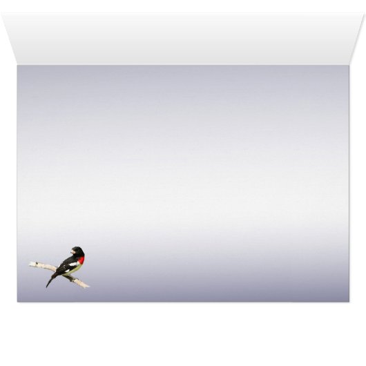 Gros-bec de Rose-breasted (Intérieur Horizontal (Bas))