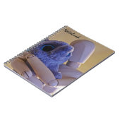 Gros Carnet (Côté gauche)