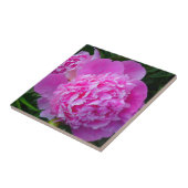 Gros carreau rose (Côté)